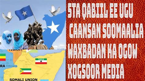 Somali President arrives in Asmara for bilateral talks with Eritrean leader March 13, 2023 The following is a Joint Statement by Qatar, Somalia, T&252;rkiye, UAE, UK,. . Qabiilada wasiirada somaliland